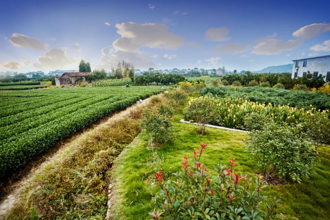 農(nóng)村生活污水處理設計選型和問題不足(圖5) 農(nóng)村生活污水處理設計選型和問題不足(圖5)